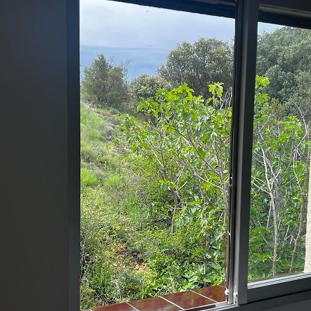 Apartaments La Pertusa 2O Corca  Zewnętrze zdjęcie